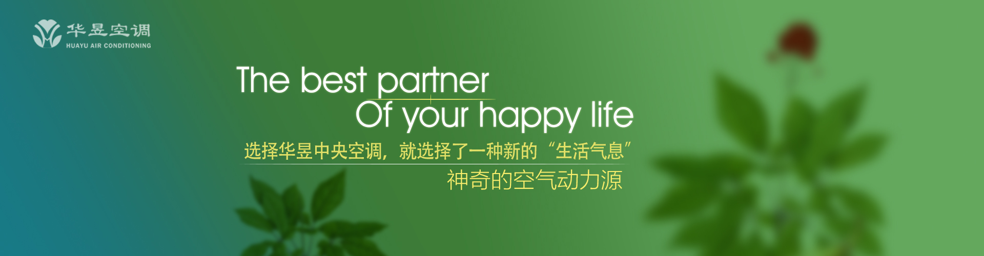 嫣然一笑网